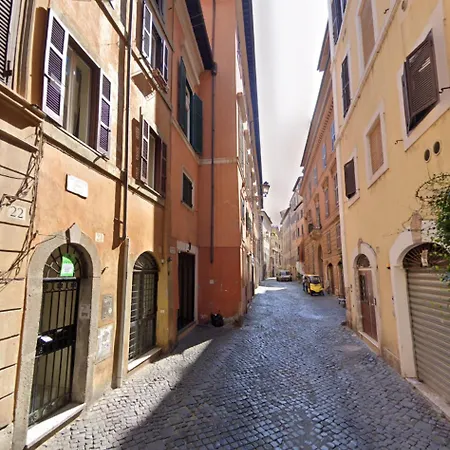 Navona Bear House Rzym